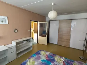 Pronájem bytu 1+1, Plzeň, Sokolovská, 40 m2