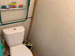Pronájem bytu 1+1, Plzeň, Sokolovská, 40 m2