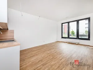 Pronájem bytu 1+kk, Plzeň - Jižní Předměstí, Železná, 35 m2