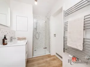 Pronájem bytu 1+kk, Plzeň - Jižní Předměstí, Železná, 35 m2
