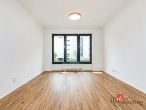Pronájem bytu 1+kk, Plzeň - Jižní Předměstí, Železná, 31 m2
