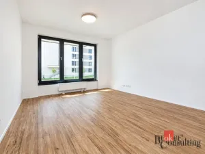 Pronájem bytu 1+kk, Plzeň - Jižní Předměstí, Železná, 31 m2