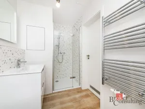 Pronájem bytu 1+kk, Plzeň - Jižní Předměstí, Železná, 31 m2