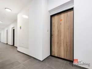 Pronájem bytu 1+kk, Plzeň - Jižní Předměstí, Železná, 31 m2