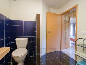Prodej vícegeneračního domu, Moldava, 410 m2