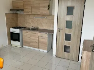 Pronájem bytu 1+1, Chomutov, Písečná, 36 m2