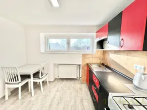 Pronájem bytu 1+1, Český Těšín, Sídliště ONV, 30 m2
