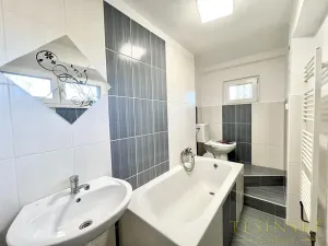 Pronájem bytu 1+1, Český Těšín, Sídliště ONV, 30 m2