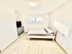 Pronájem bytu 1+1, Český Těšín, Sídliště ONV, 30 m2