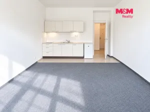 Prodej bytu 1+kk, Praha - Michle, Hanusova, 29 m2