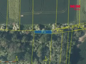 Prodej lesa, Nové Strašecí, 5970 m2