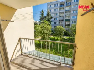 Prodej bytu 4+1, Strakonice - Strakonice I, Čelakovského, 77 m2