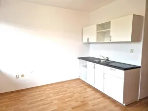 Pronájem bytu 2+kk, Olešná, 40 m2