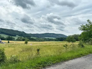 Prodej pozemku, Neveklov - Dalešice, 1333 m2