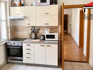 Pronájem bytu 6+kk a větší, Brno, Masarykova, 195 m2