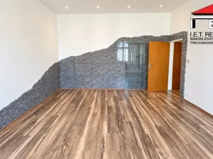 Pronájem bytu 6+kk a větší, Brno, Masarykova, 195 m2