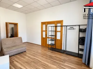 Pronájem bytu 6+kk a větší, Brno, Masarykova, 195 m2