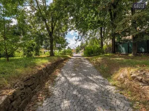 Prodej komerčního pozemku, Brno, Slepá, 2919 m2