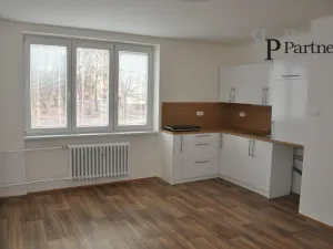 Pronájem bytu 1+kk, Ostrava, Alžírská, 26 m2
