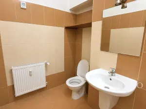 Pronájem bytu 3+kk, Písek, Pražská, 71 m2