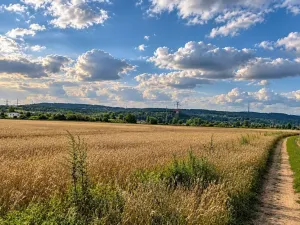 Prodej zahrady, Praha - Lipence, 1076 m2