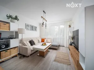 Prodej bytu 2+1, České Budějovice, Mánesova, 64 m2
