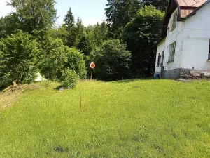 Prodej rodinného domu, Albrechtice v Jizerských horách, 200 m2