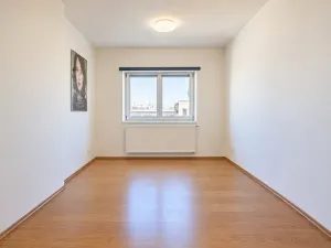 Pronájem bytu 4+kk, Brno - Brno-město, Panská, 111 m2