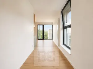 Pronájem bytu 1+kk, Brno, Pod Kavkami, 40 m2