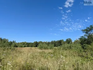 Prodej pozemku pro bydlení, Mariánské Radčice, Československé armády, 987 m2