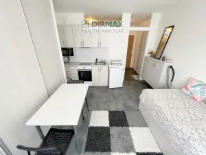 Pronájem bytu 1+kk, Plzeň - Východní Předměstí, Částkova, 22 m2