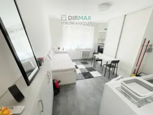 Pronájem bytu 1+kk, Plzeň - Východní Předměstí, Částkova, 22 m2