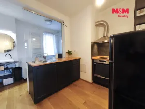 Pronájem bytu 1+1, Praha - Vinohrady, Šafaříkova, 31 m2