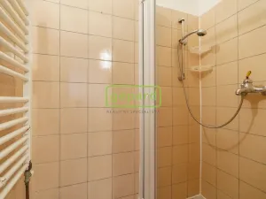 Pronájem obchodního prostoru, Karlovy Vary, Rohová, 112 m2
