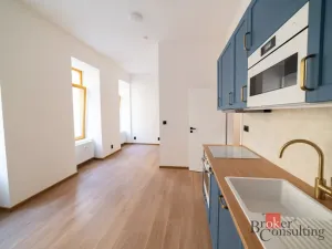 Pronájem bytu 1+kk, Brno - Zábrdovice, Bratislavská, 37 m2