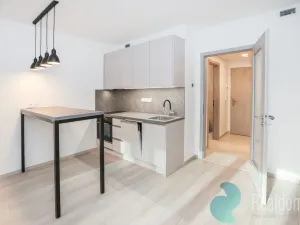 Pronájem bytu 1+kk, Praha - Hloubětín, Poděbradská, 32 m2