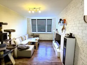 Prodej bytu 2+kk, Most, tř. Budovatelů, 40 m2