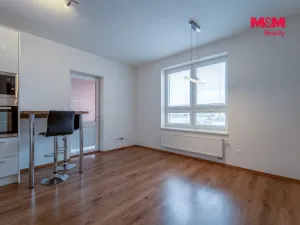 Pronájem bytu 2+kk, Plzeň - Jižní Předměstí, U Borských kasáren, 44 m2