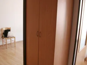 Pronájem bytu 1+1, Plzeň - Východní Předměstí, Zahradní, 30 m2