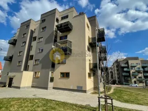Prodej bytu 2+kk, Plzeň - Bolevec, U Velkého rybníka, 57 m2