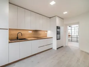Prodej bytu 1+1, Brno, Cejl, 50 m2