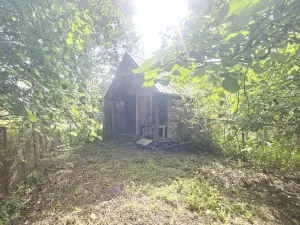 Prodej rodinného domu, Býčkovice - Velký Újezd, 700 m2