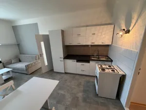 Pronájem bytu 2+kk, Plzeň - Východní Předměstí, Sladkovského, 54 m2