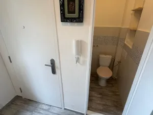 Pronájem bytu 2+kk, Plzeň - Východní Předměstí, Sladkovského, 54 m2