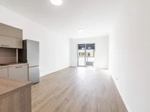 Prodej bytu 1+kk, České Budějovice, U Branišovského lesa, 46 m2