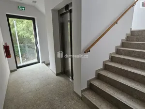 Pronájem bytu 2+kk, Praha - Motol, Pod Homolkou, 70 m2
