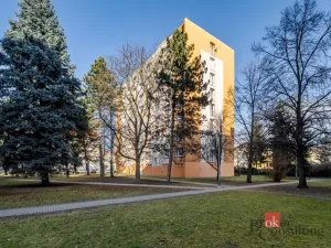 Pronájem bytu 1+1, České Budějovice - České Budějovice 3, Puklicova, 40 m2