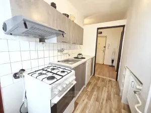 Pronájem bytu 3+1, České Budějovice - České Budějovice 7, Antala Staška, 69 m2
