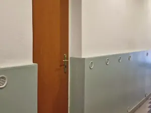 Pronájem obchodního prostoru, Písek, Nerudova, 82 m2