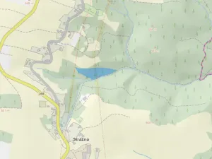 Prodej lesa, Strážná, 11485 m2